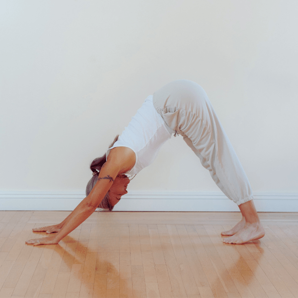 You Can't Do It Wrong: A New Year's Permission Slip - XO Jacqui